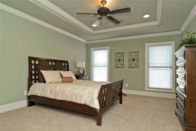 How to paint tray ceilings with color?